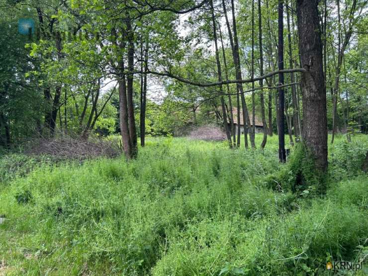 Działki  na sprzedaż, , Regulice, ul. 