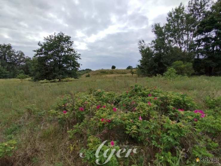 Świdnica, ul. , , Działki  na sprzedaż