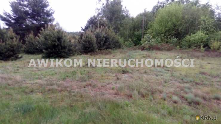 Działki  na sprzedaż, Lipce Reymontowskie, ul. , 