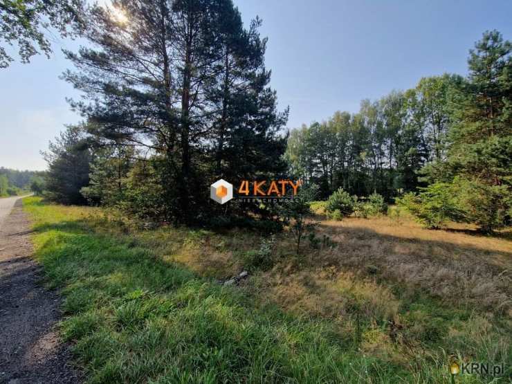 Działki  na sprzedaż, , Leśniów Wielki, ul. 