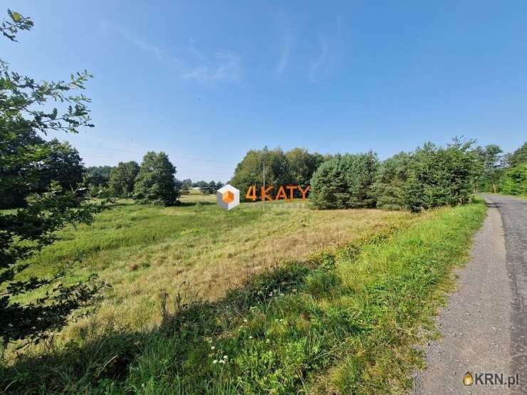 Leśniów Wielki, ul. , Działki  na sprzedaż, 