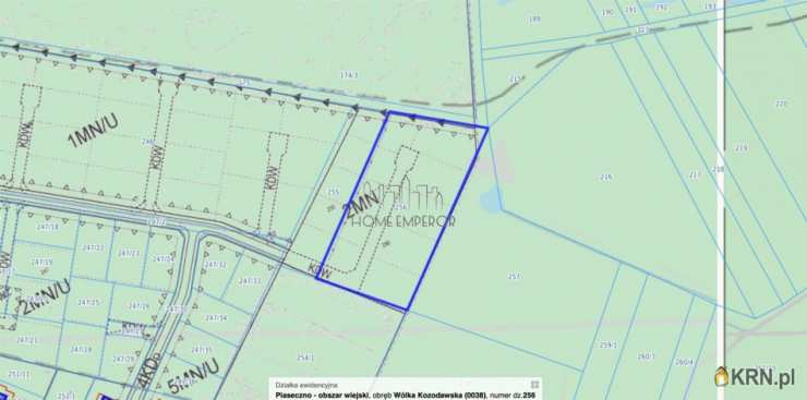 Działki  na sprzedaż, Wólka Kozodawska, ul. Dworska, 