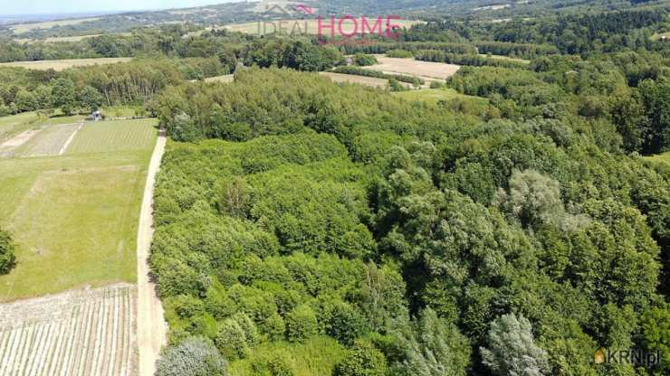  Ideal Home Nieruchomości , Działki  na sprzedaż, Wola Rafałowska, ul. 