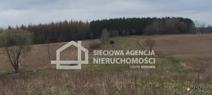 Borowina, ul. , Działki  na sprzedaż, 