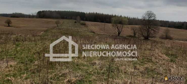 , Działki  na sprzedaż, Borowina, ul. 