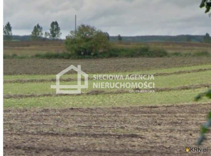 Sieciowa Agencja Nieruchomości Grupa Renoma, Działki  na sprzedaż, Borowina, ul. 