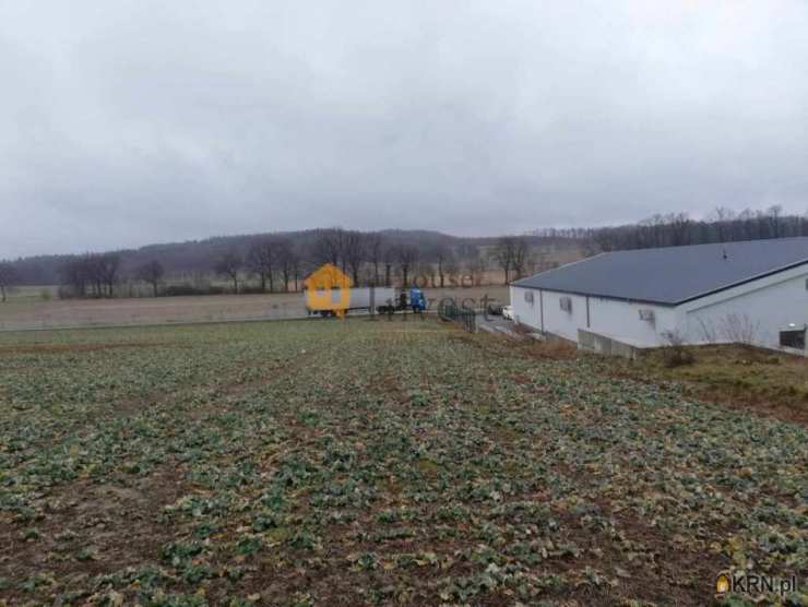 Działki  na sprzedaż, Pielgrzymka, ul. , 