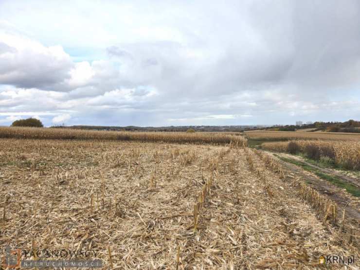 Działki  na sprzedaż, , Owczary, ul. 
