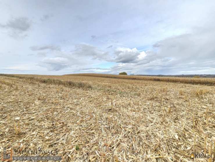 Owczary, ul. , Działki  na sprzedaż, 