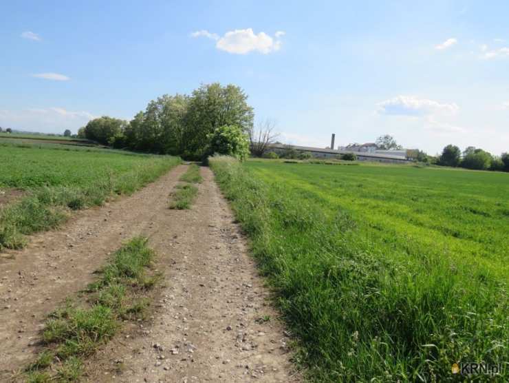 Działki  na sprzedaż, Klimontów, ul. , 