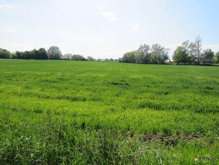 Działki  na sprzedaż, , Klimontów, ul. 