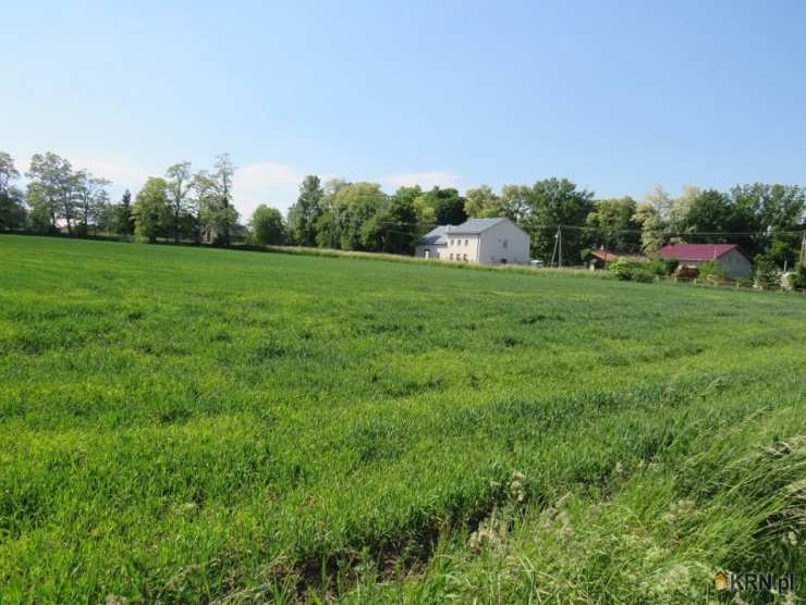 Klimontów, ul. , Działki  na sprzedaż, 