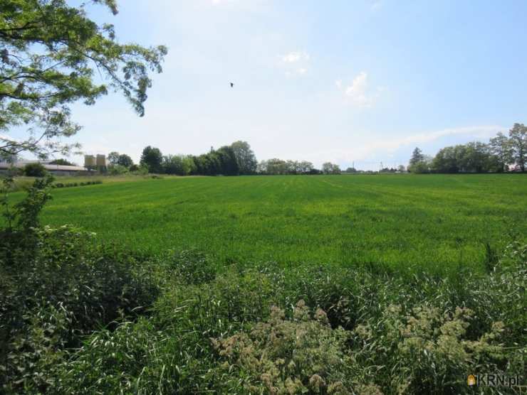 Klimontów, ul. , , Działki  na sprzedaż