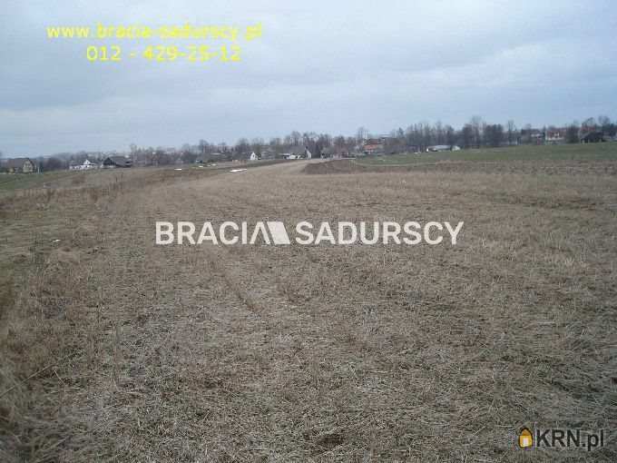 Działki  na sprzedaż, , Niewiarów, ul. 