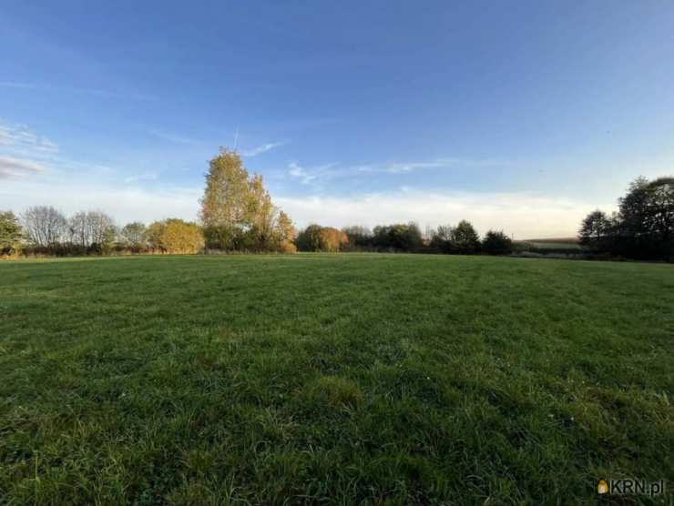 Działki  na sprzedaż, Żernica, ul. , 