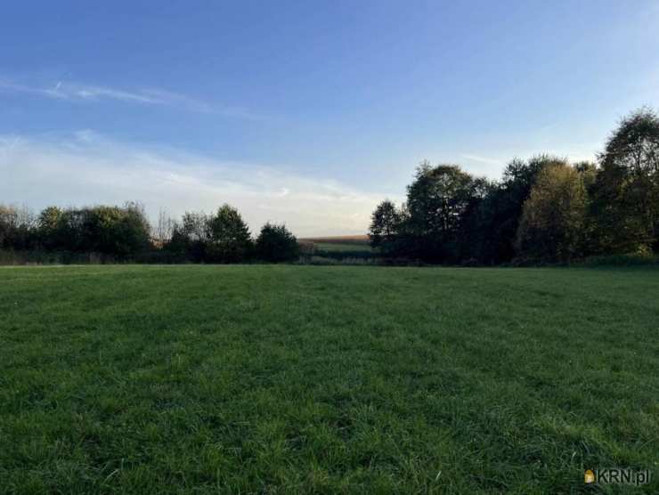 Działki  na sprzedaż, , Żernica, ul. 