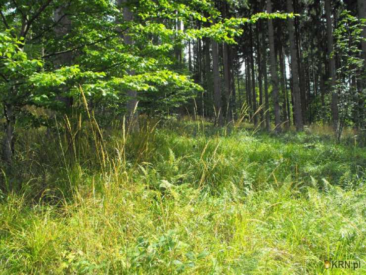 , Boguszów-Gorce, ul. , Działki  na sprzedaż