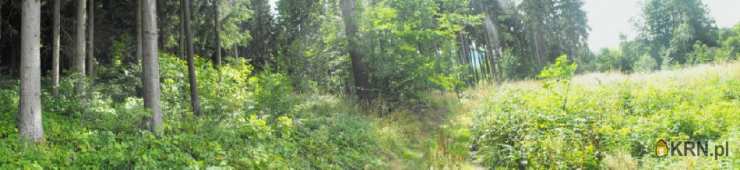 Biuro Nieruchomości SOWA, Działki  na sprzedaż, Boguszów-Gorce, ul. 