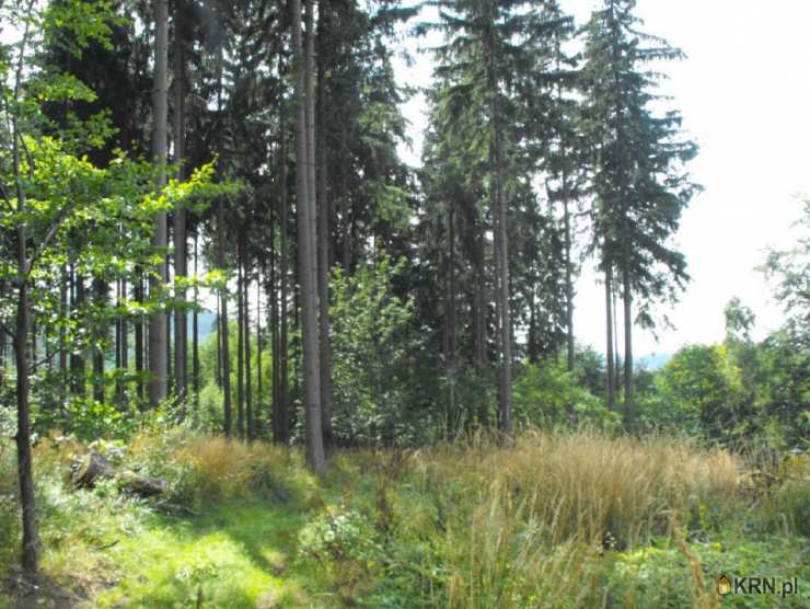 Działki  na sprzedaż, Boguszów-Gorce, ul. , 