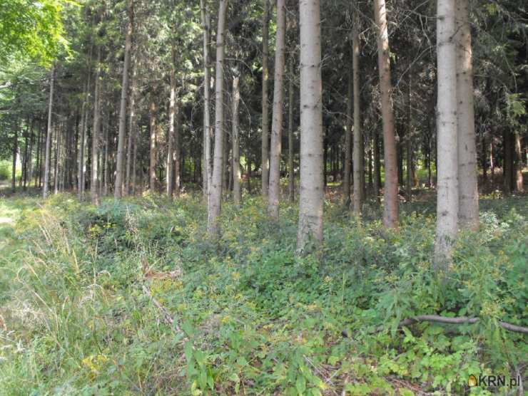 Działki  na sprzedaż, , Boguszów-Gorce, ul. 