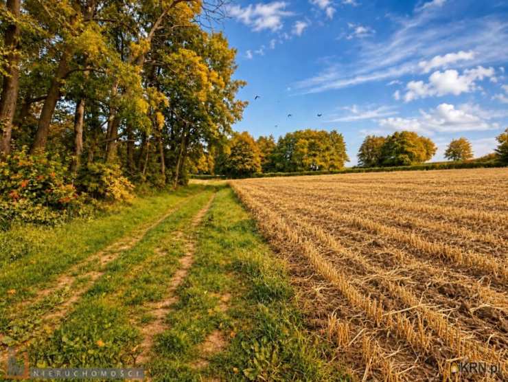 Bosutów, ul. , , Działki  na sprzedaż