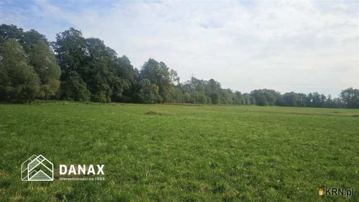 Działki  na sprzedaż, Cholerzyn, ul. , 