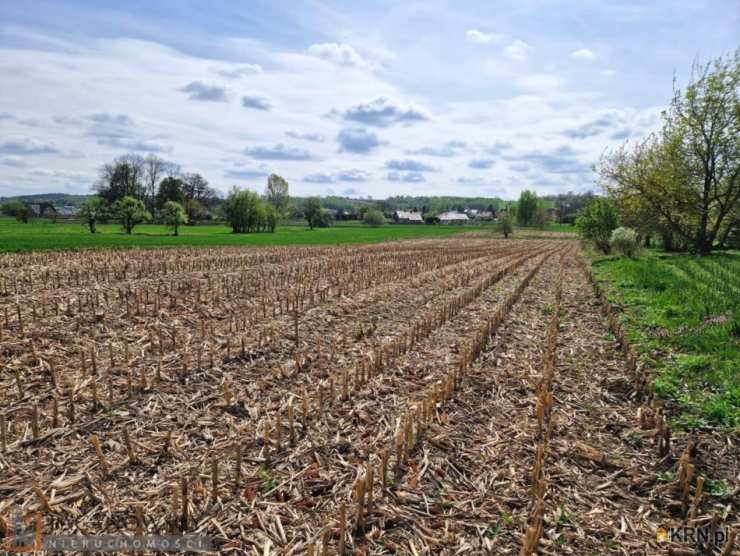 Działki  na sprzedaż, Goszcza, ul. , 