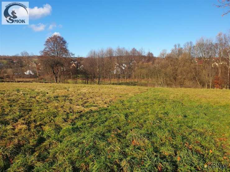 Działki  na sprzedaż, Jawornik, ul. , 