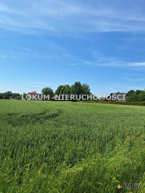 Kończyce Małe, ul. Brzoskwiniowa, , Działki  na sprzedaż