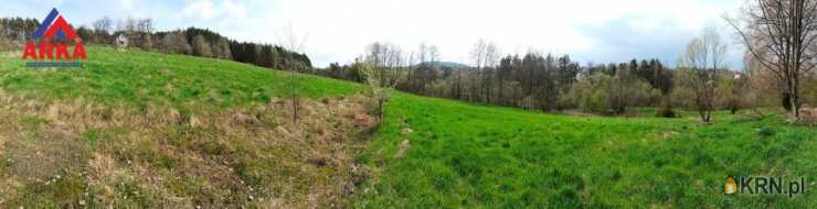 Działki  na sprzedaż, Limanowa, Jabłoniec, ul. , 