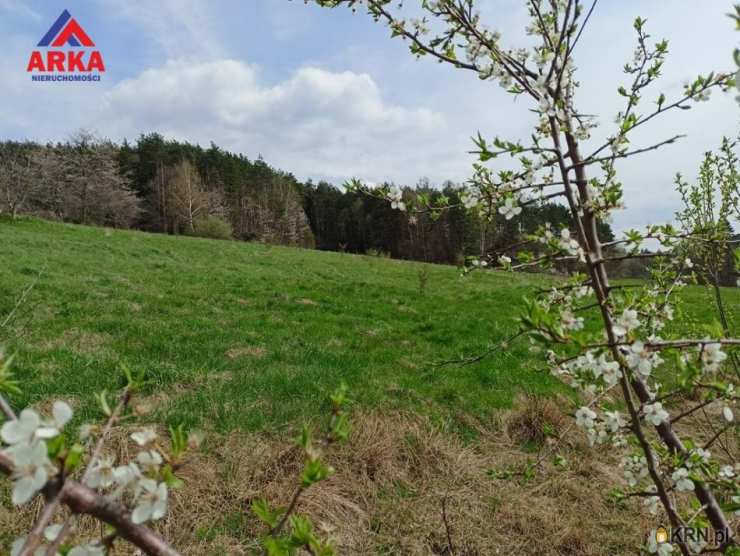 , Działki  na sprzedaż, Limanowa, Jabłoniec, ul. 