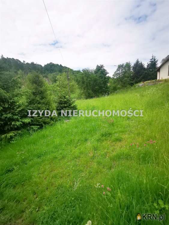 Działki  na sprzedaż, Lutomia Górna, ul. , 