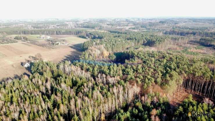 Działki  na sprzedaż, Petrykozy, ul. Za Gajem, 