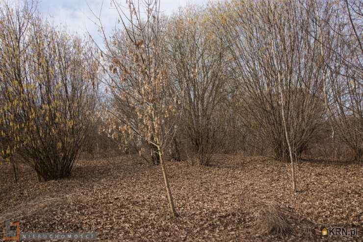 Działki  na sprzedaż, Bibice, ul. , 