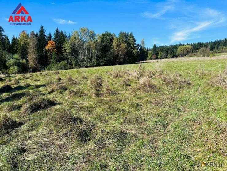 Działki  na sprzedaż, , Rabka-Zdrój, ul. 