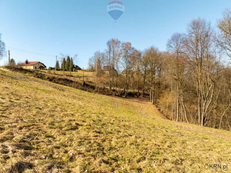 RE/MAX Polska, Działki  na sprzedaż, Siepraw, ul. 