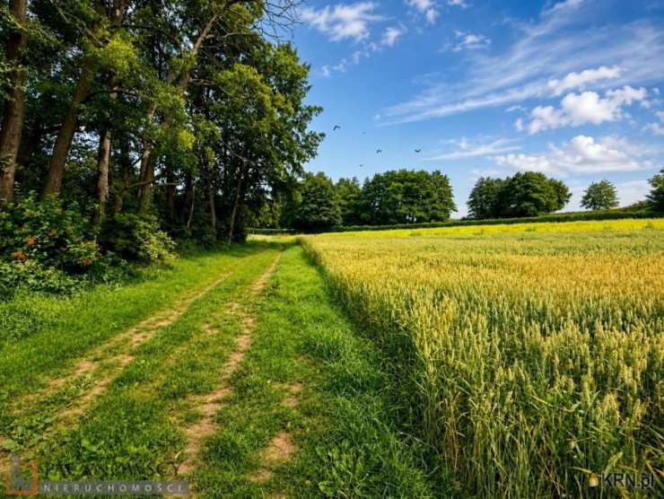 Bosutów, ul. , Działki  na sprzedaż, 