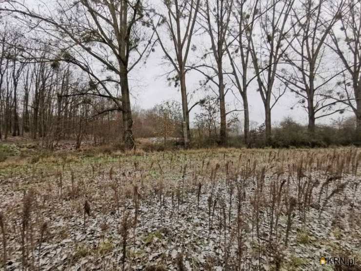 , Działki  na sprzedaż, Kaźmierz, ul. 