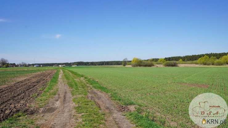 Młodzikówko, ul. , , Działki  na sprzedaż