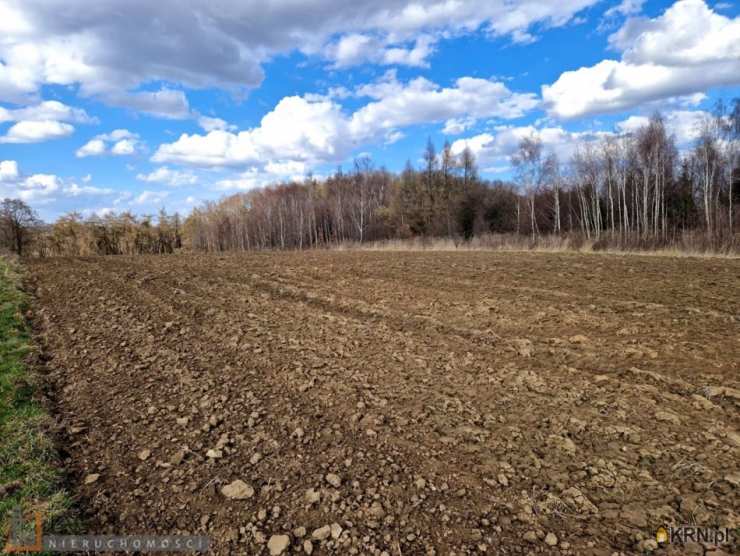 Działki  na sprzedaż, , Łuczyce, ul. 