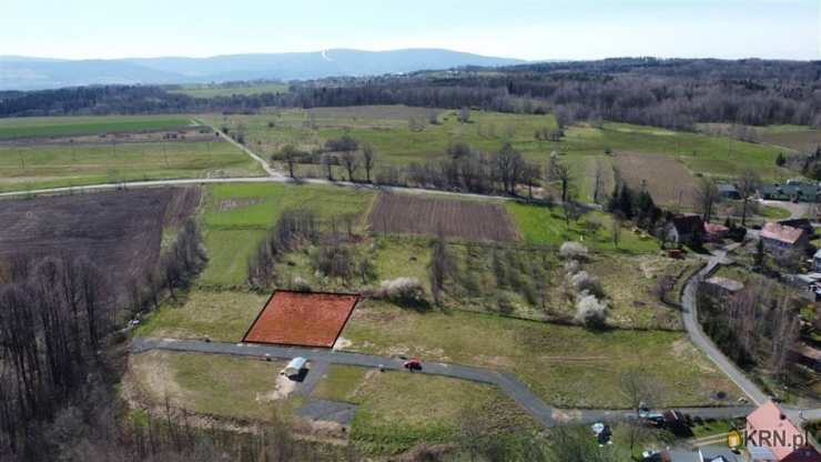 Działki  na sprzedaż, Złotniki Lubańskie, ul. , 