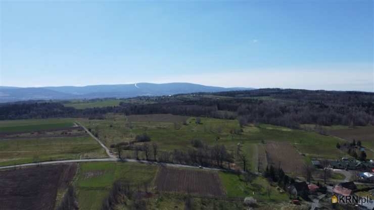 Złotniki Lubańskie, ul. , Działki  na sprzedaż, 