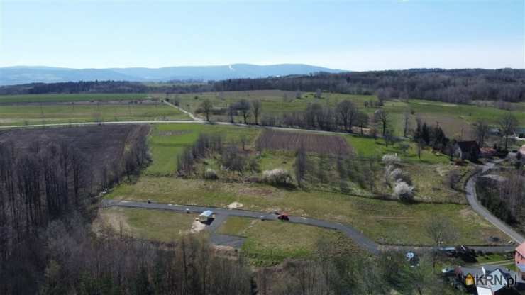 , Działki  na sprzedaż, Złotniki Lubańskie, ul. 