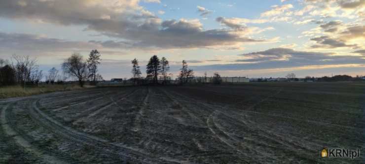 Rawicz, ul. , , Działki  na sprzedaż