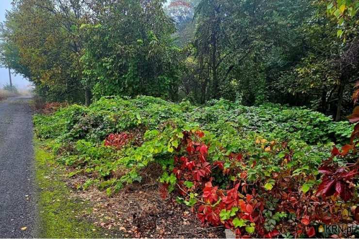 Działki  na sprzedaż, , Dąbrowa Górnicza, ul. 