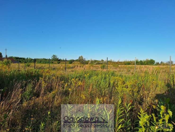 Działki  na sprzedaż, , Klembów, ul. 