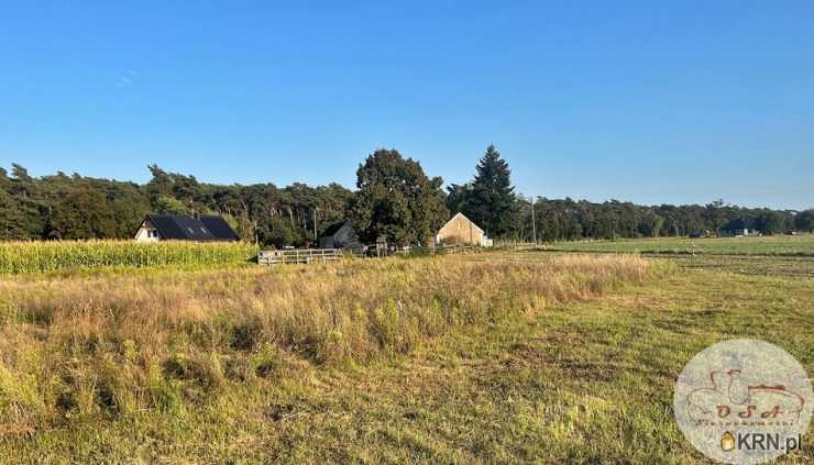 Srocko Małe, ul. , Działki  na sprzedaż, 