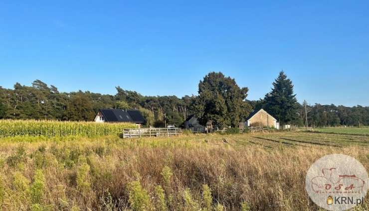 , Srocko Małe, ul. , Działki  na sprzedaż