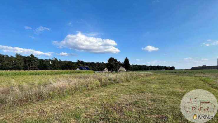 , Działki  na sprzedaż, Srocko Małe, ul. 