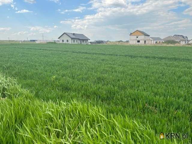 Działki  na sprzedaż, Pszenno, ul. , 